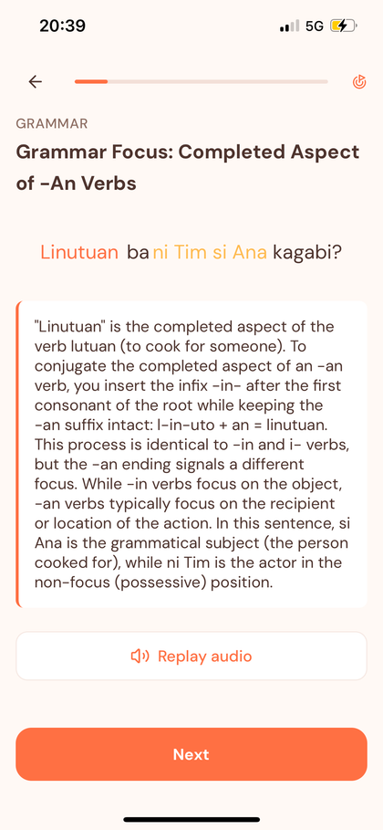 A Grammar focus lesson on the completed aspect of -an verbs, explaining Linutuan ba ni Tim si Ana kagabi?